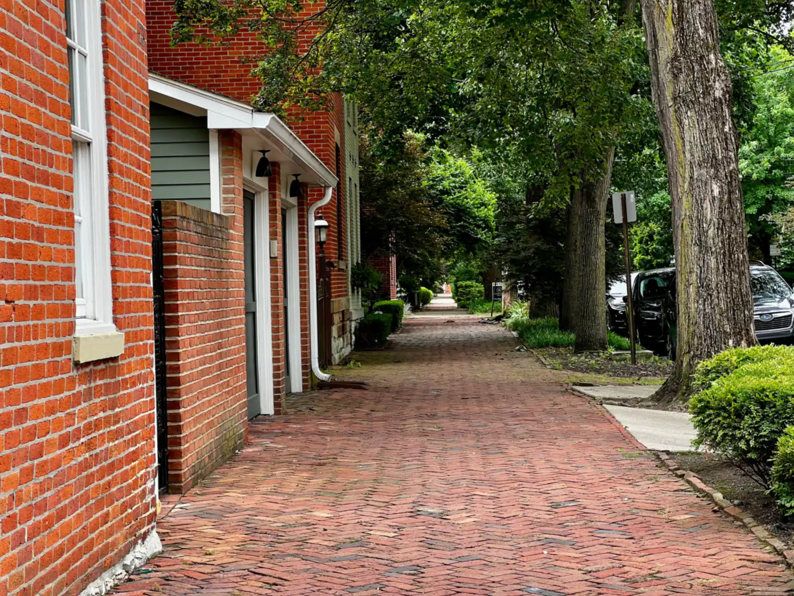 Red brick sidewalk running past brick buildings beneath large shade trees