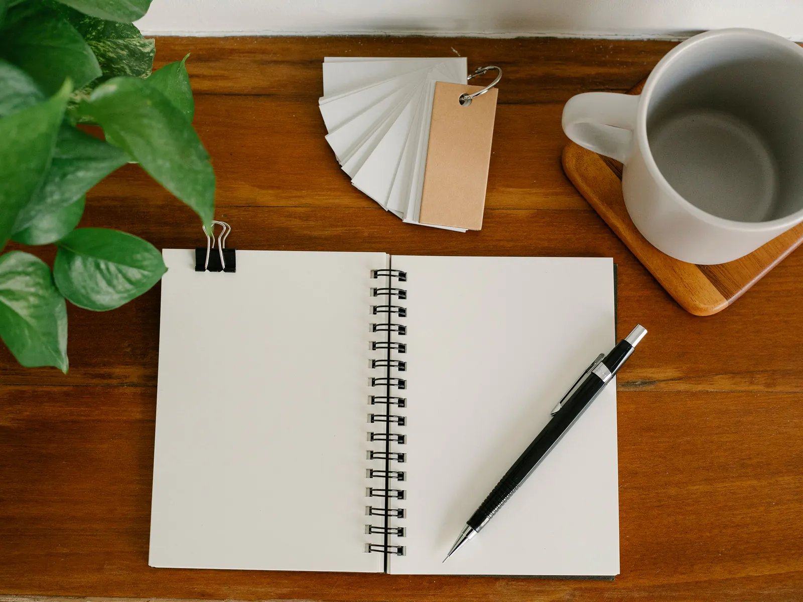 Open notebook with a pen beside a mug, paint swatches and a plant